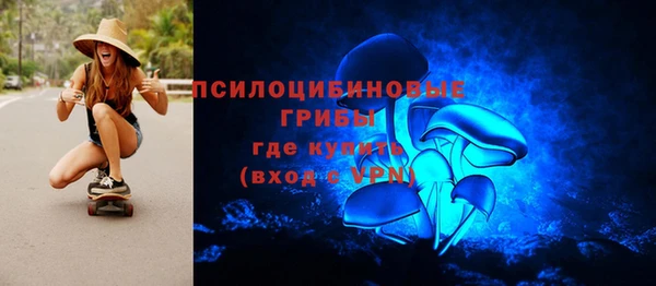 твердый Алзамай